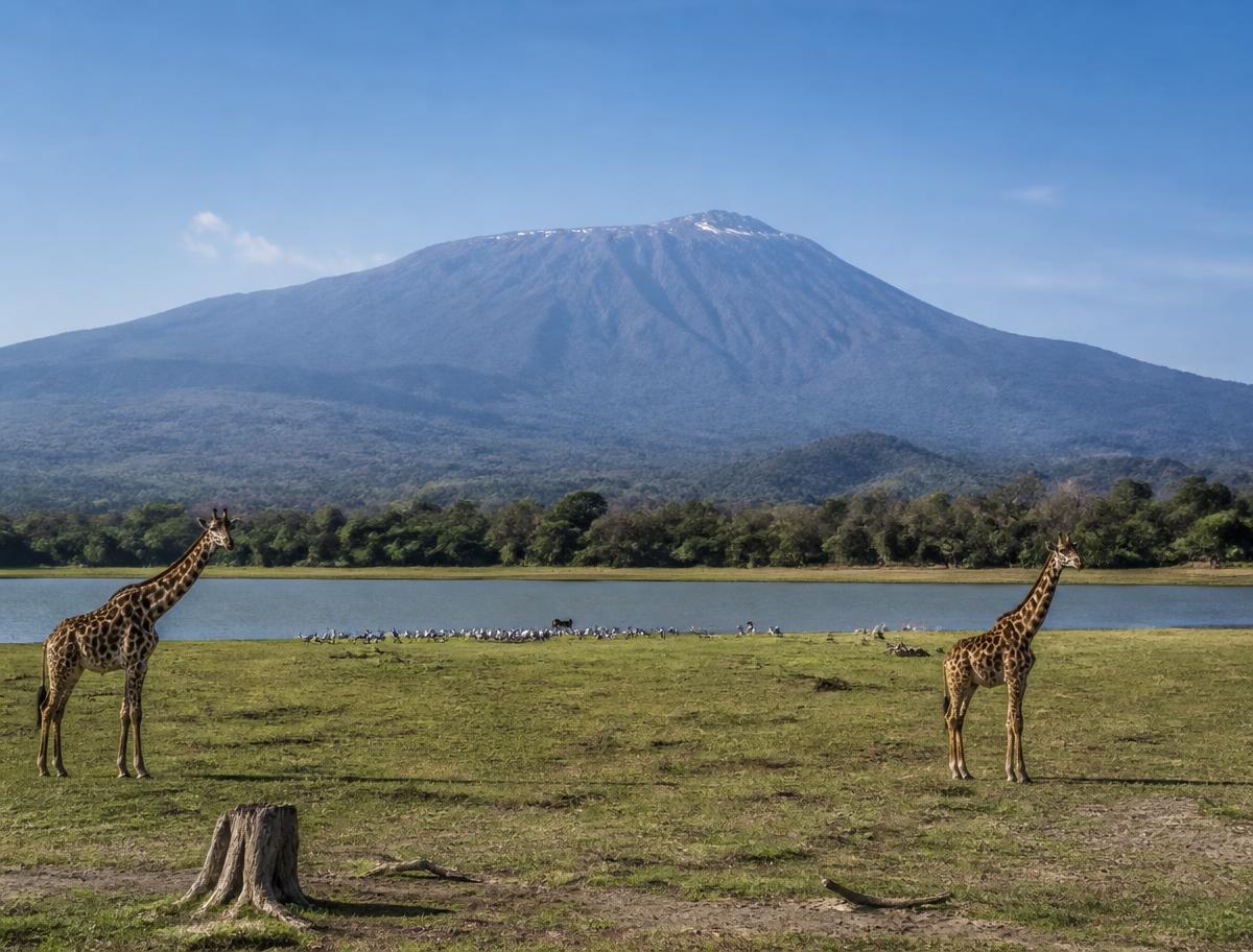 Arusha National Park