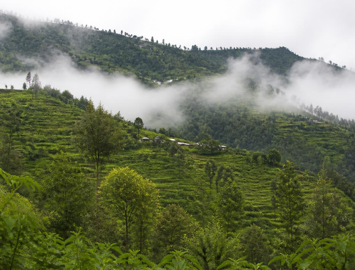 Usambara Mountains